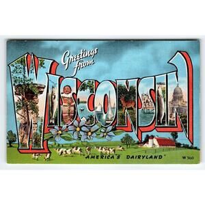 Greetings From Wisconsin American's Dairyland Cows Large Letter Postcard Kropp